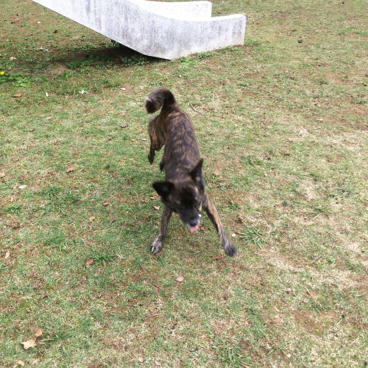 91b480df 215e 4c7e bd75 79901a19dfaa