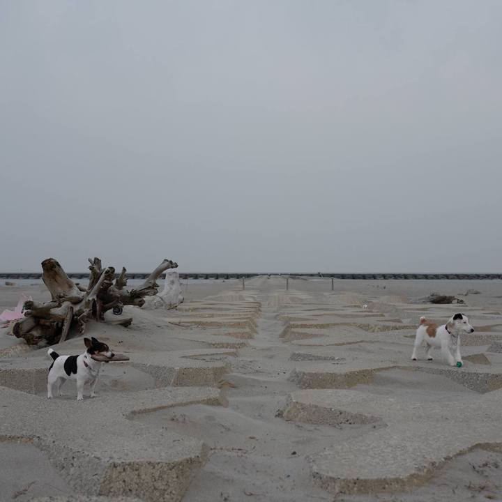 91b50759 1324 4d0f a122 63309b32f8ea