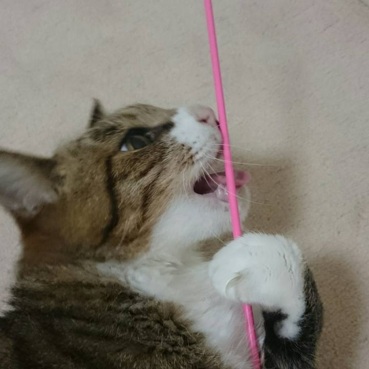 91b51c8d 8ed0 4803 83bd ddab8f44cf9d