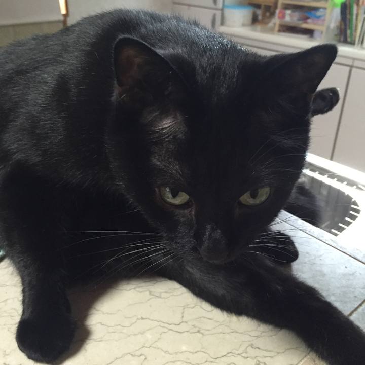 91b53a6c 54e5 4568 9ae2 329525c26b05