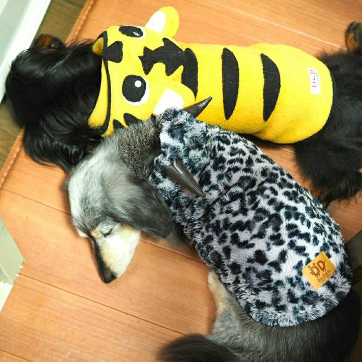 91b557e3 c0ce 4303 a374 76cde5a4849b