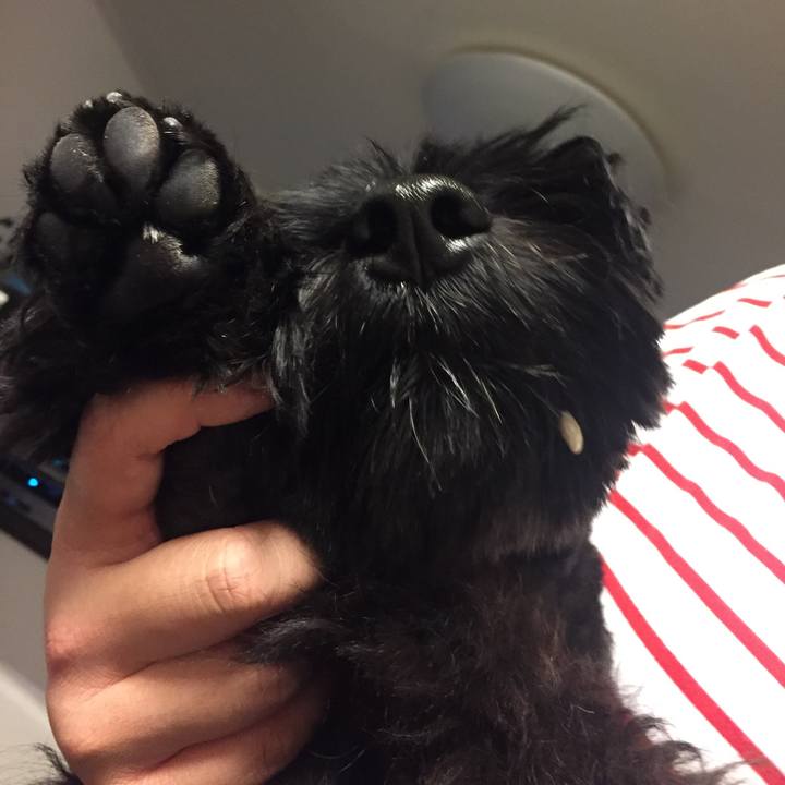 91b57405 e37f 486c 92f6 3de8899dcb5f