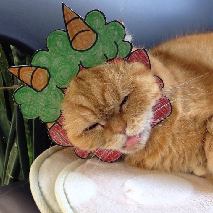 91b57c21 ab71 401a 8414 b89a3f7552eb