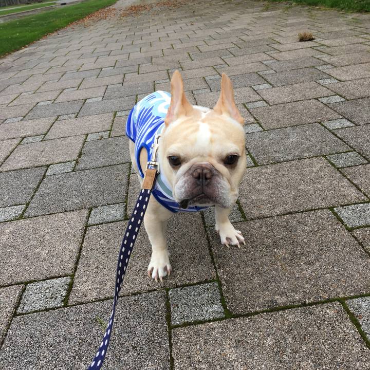 91b6dd56 9950 4ff7 a2c7 05a485fa333c