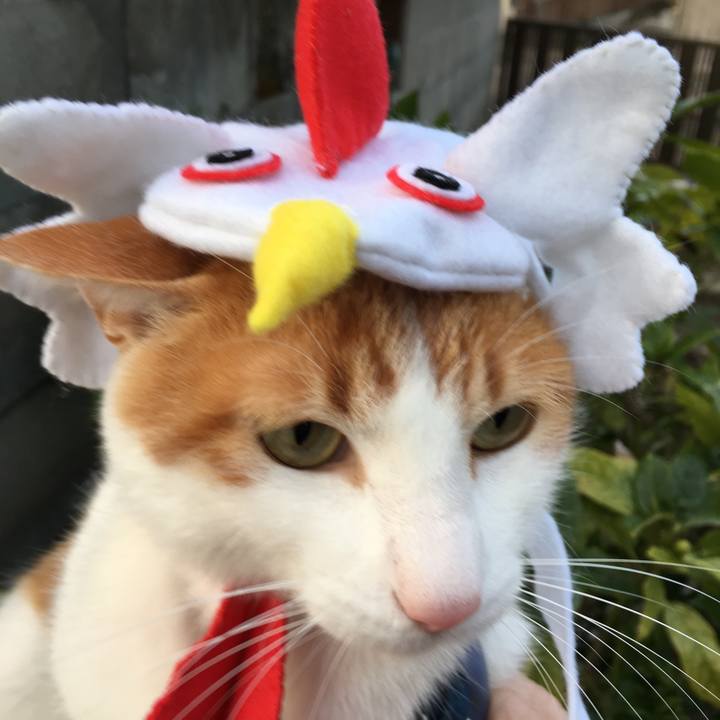 91b78ae0 512c 4ed9 9703 b522ec8c5a68