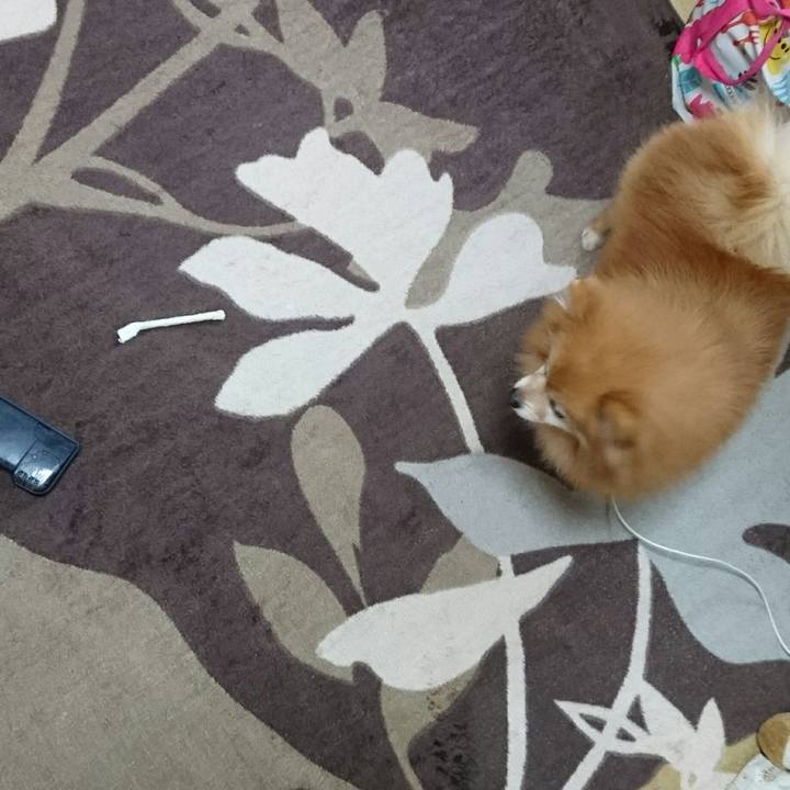 91b79f15 d17d 4590 a6dd d5850d85e088