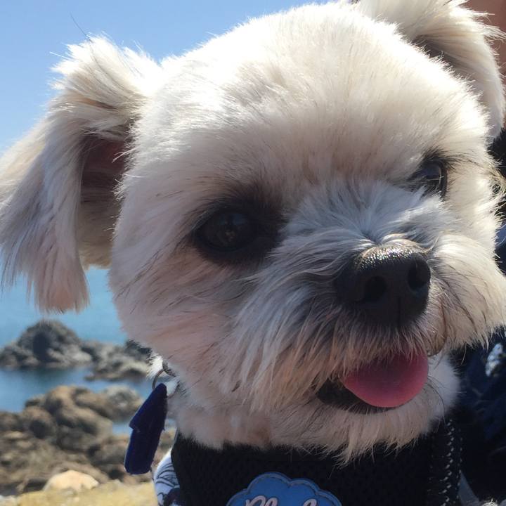 91b7be9a e015 4b49 aad1 c69bf42186e3