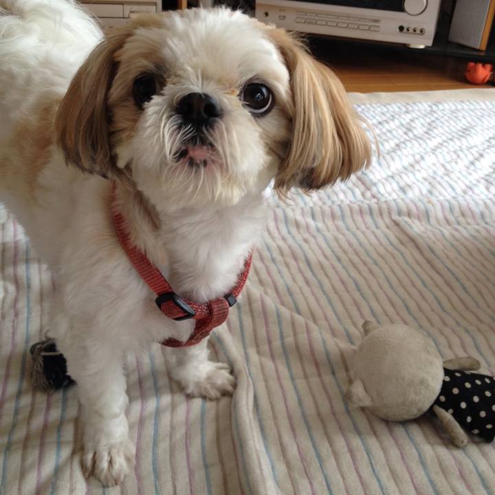 91b7e3ae 0038 4881 8690 c11881a9ff26