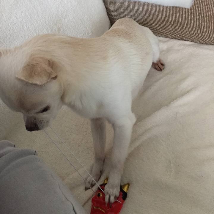 91b816c4 3055 4c35 bc57 98c096d004fd