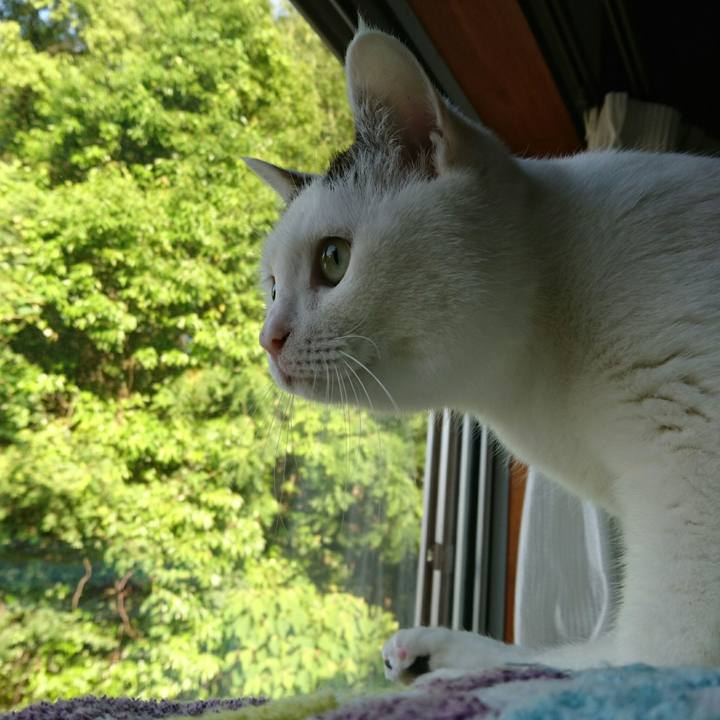 91b8dce8 2766 43e9 8628 74285852065e