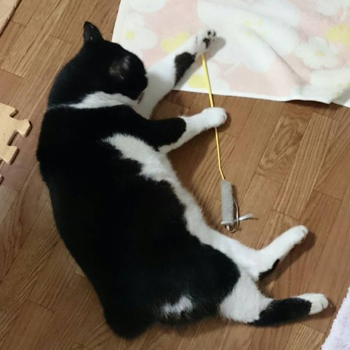 91b914ee 6961 47cc af48 4314cb22eef2