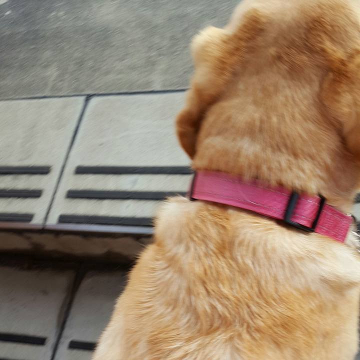 91b9458f 60c9 446c ba66 8dcdb8926853