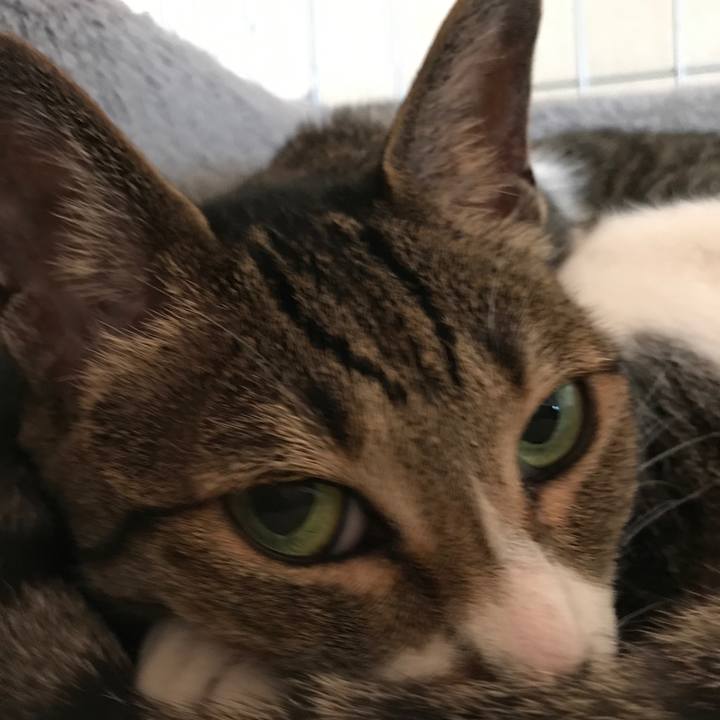 91b961ee 0479 4c77 928e cc8aa14cbac4