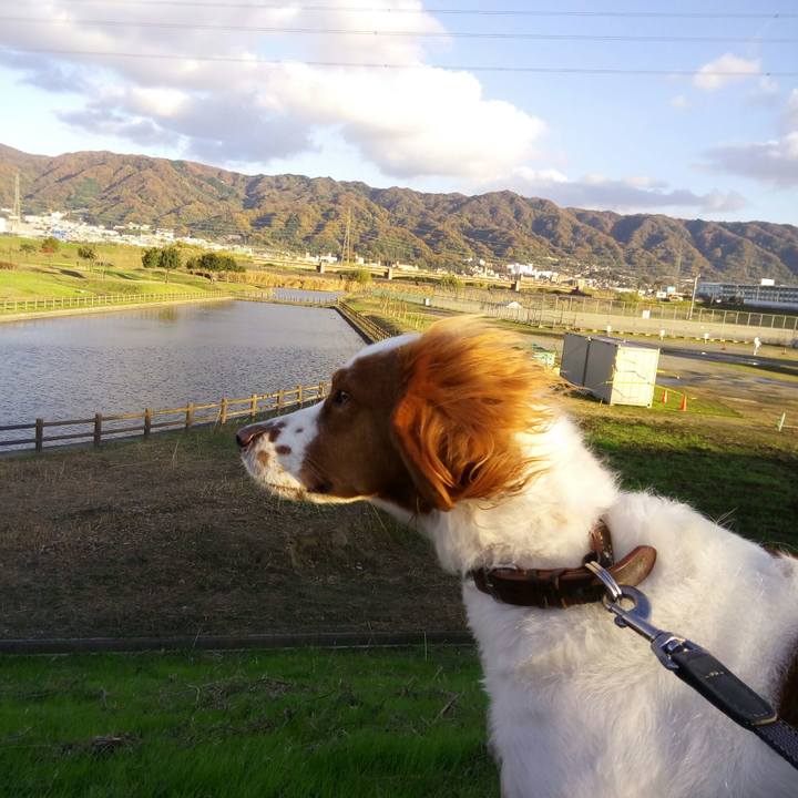 91b98cab 85e2 44ff a16a daf07402b8b1