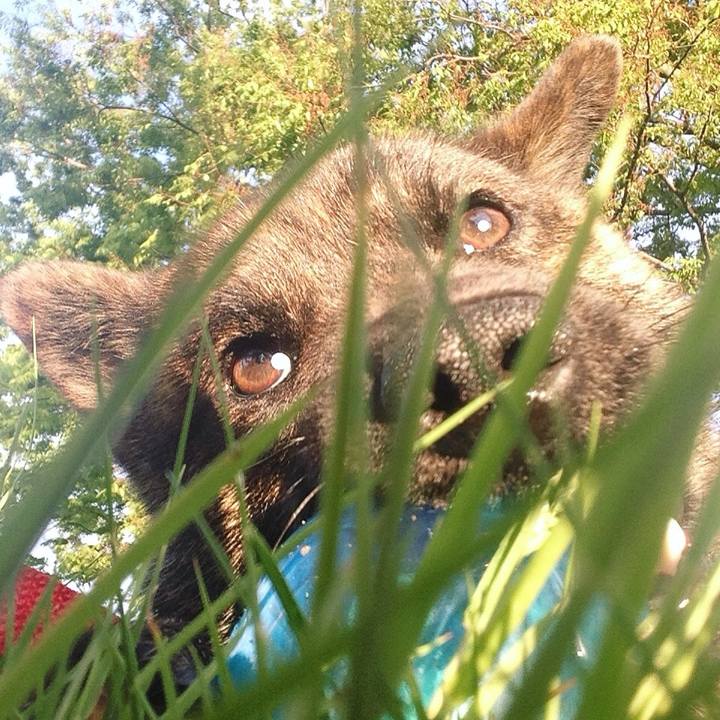 91ba255c 8606 4b35 89cc 5d7c03315ae8