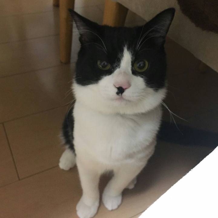 91ba4ba1 a592 4efe bcdb 0d20016bf7e2