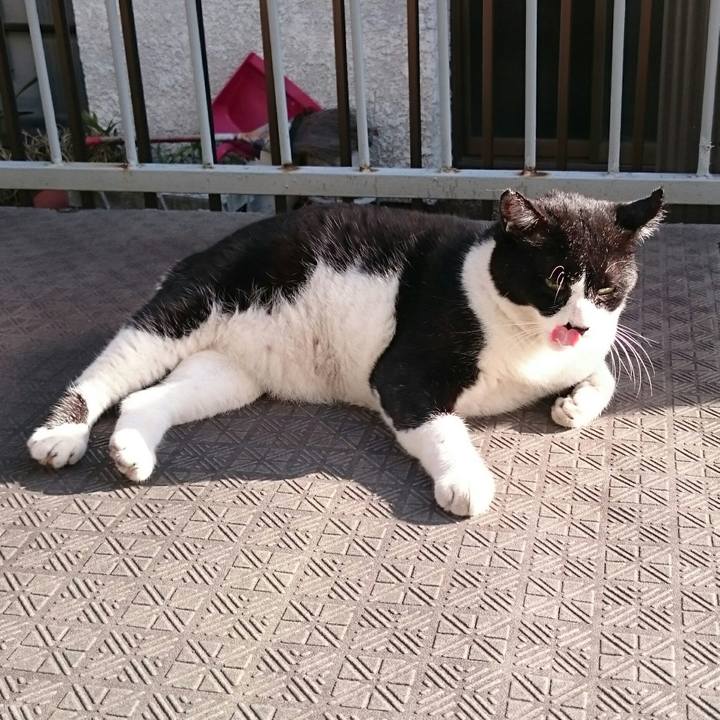 91baa10d 4c49 4003 a3f6 df8fb46d78e7