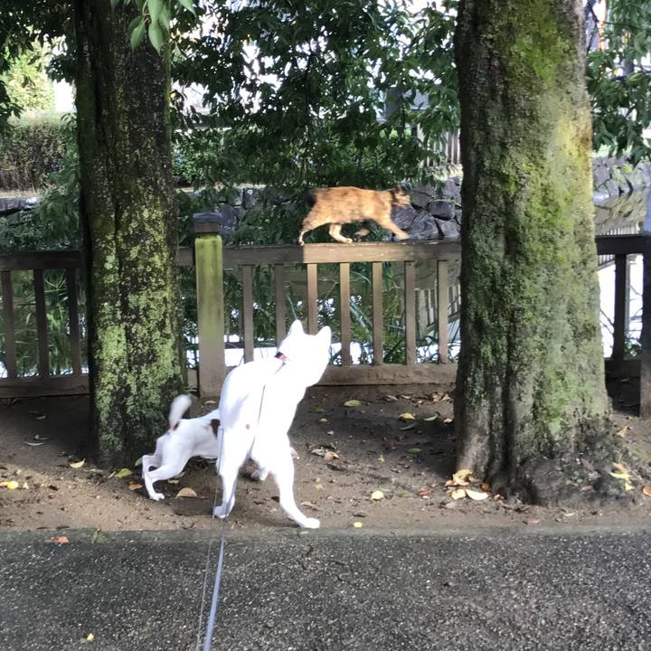 91bb31ea c430 447d 8865 c9d7088f53e6