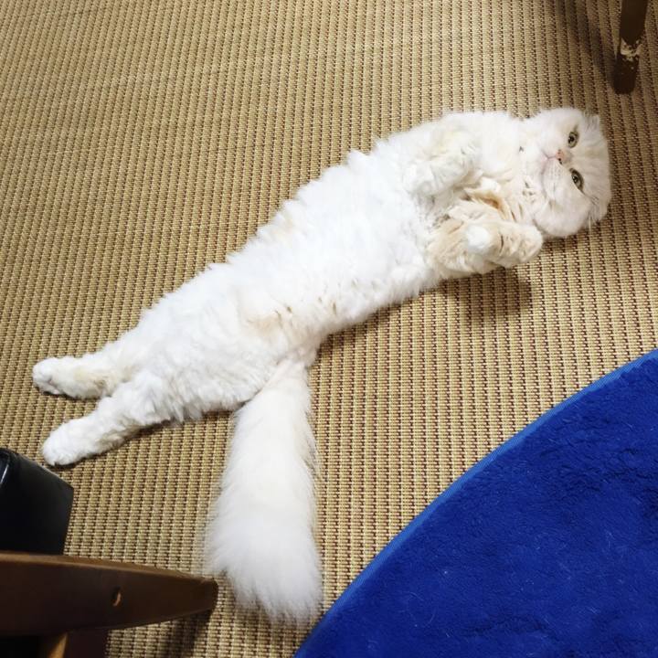 91bb6686 21c9 45cf a609 153e2f06ce62