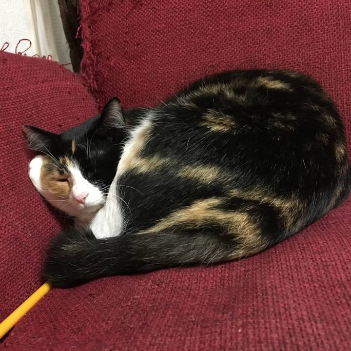 91bb902a 8ae3 49cb 8ac9 5625c1d7c48f