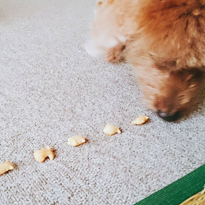 91bbd64e 36ff 462f 8ff0 2f56752072b8