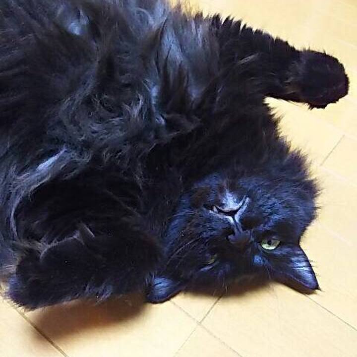 91bc3cd5 6ac5 4a4c b477 9fee0da2cdb2