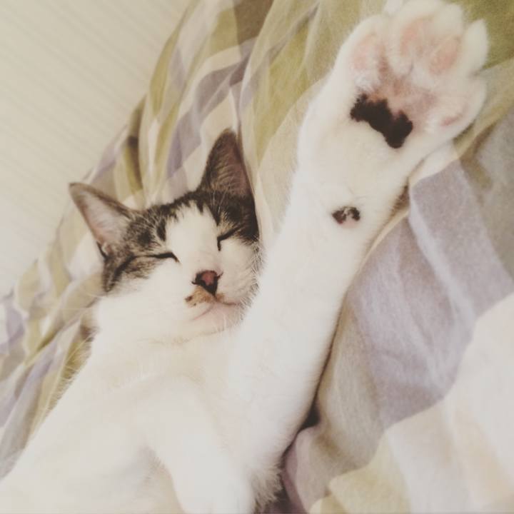 91bc4448 ac74 426f 8b01 7f0f3d2e2757