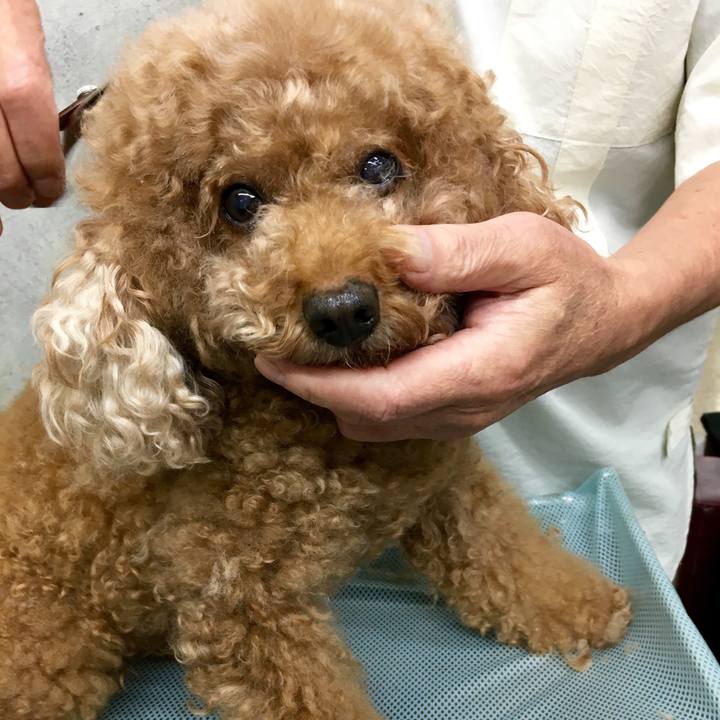 91bc6552 6c33 42f7 89ba fef0c295a9f7