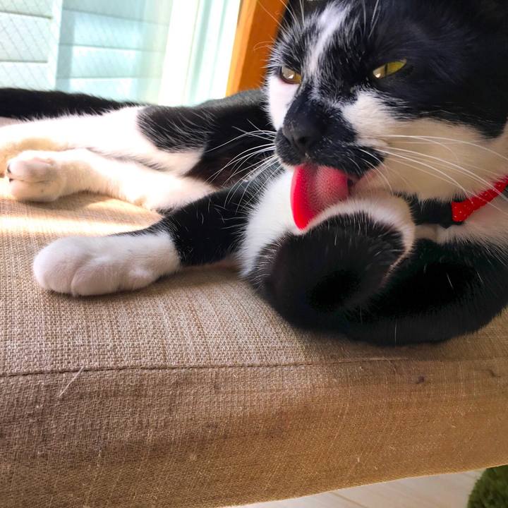 91bc99b5 695d 4521 abac 2e76f0d3a20b