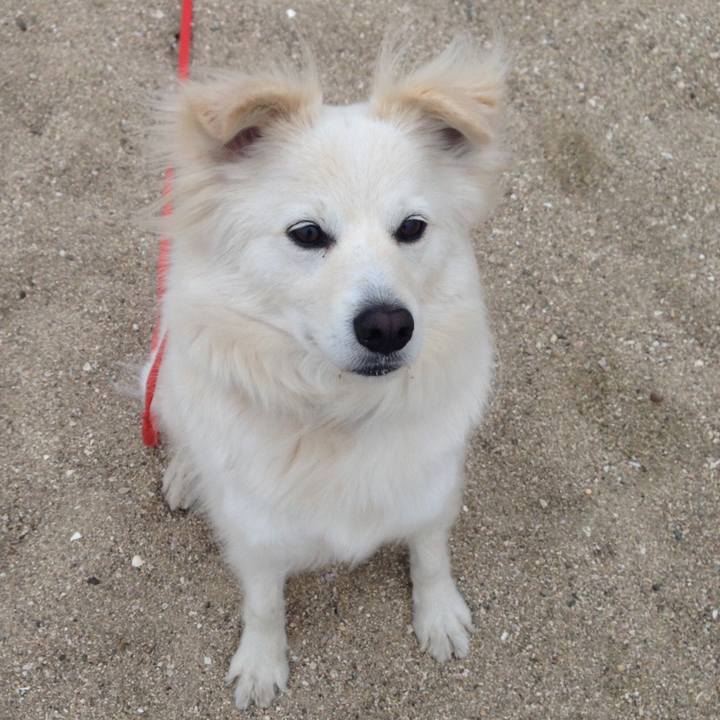 91bcd3ec 0672 4632 8278 457cda5d3265