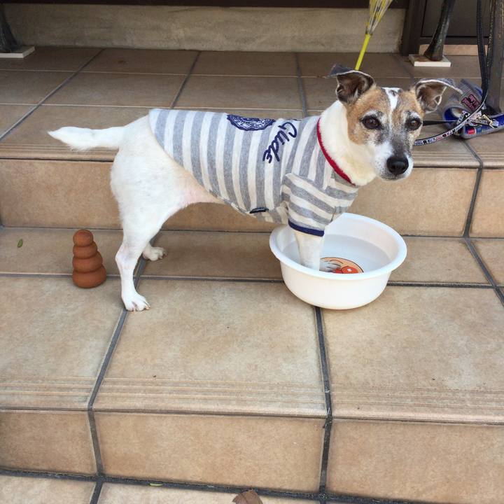 91bd5888 fc12 42de bce0 3a3d726d6e4e