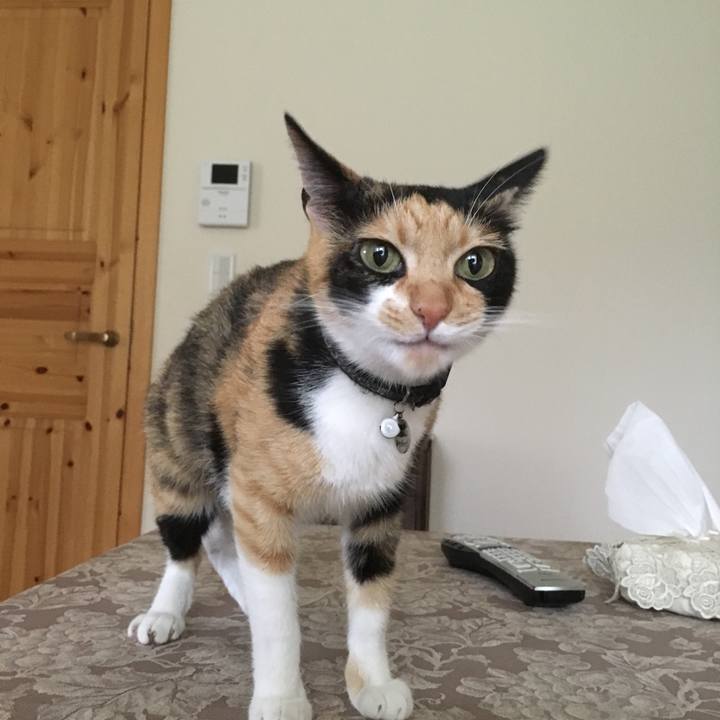 91bdbab2 c101 4450 b3f3 3363cde99a59