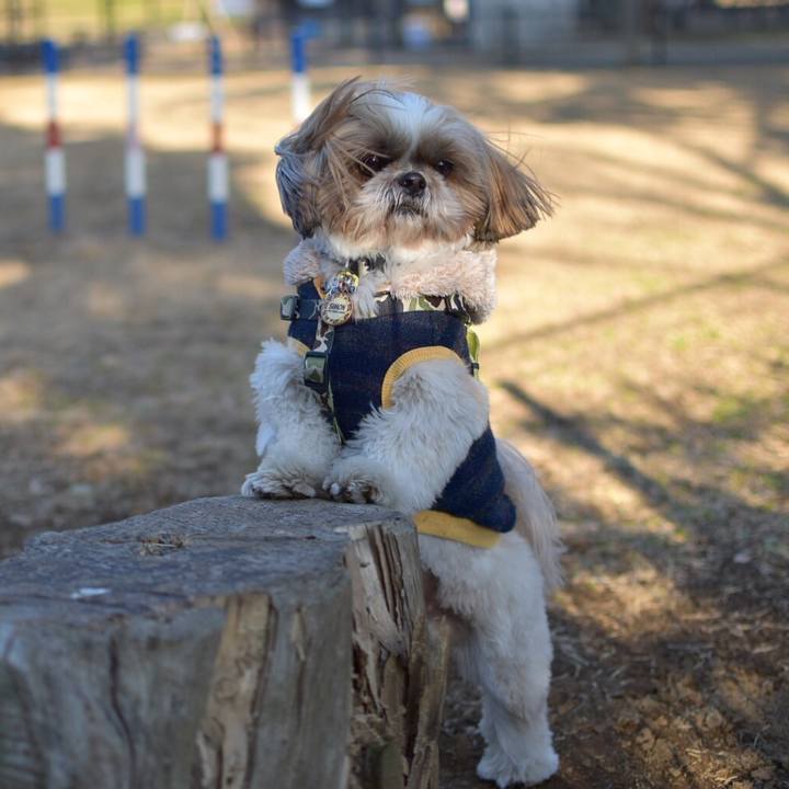 91bdbdc0 7ada 42b6 9534 dfc638b67046