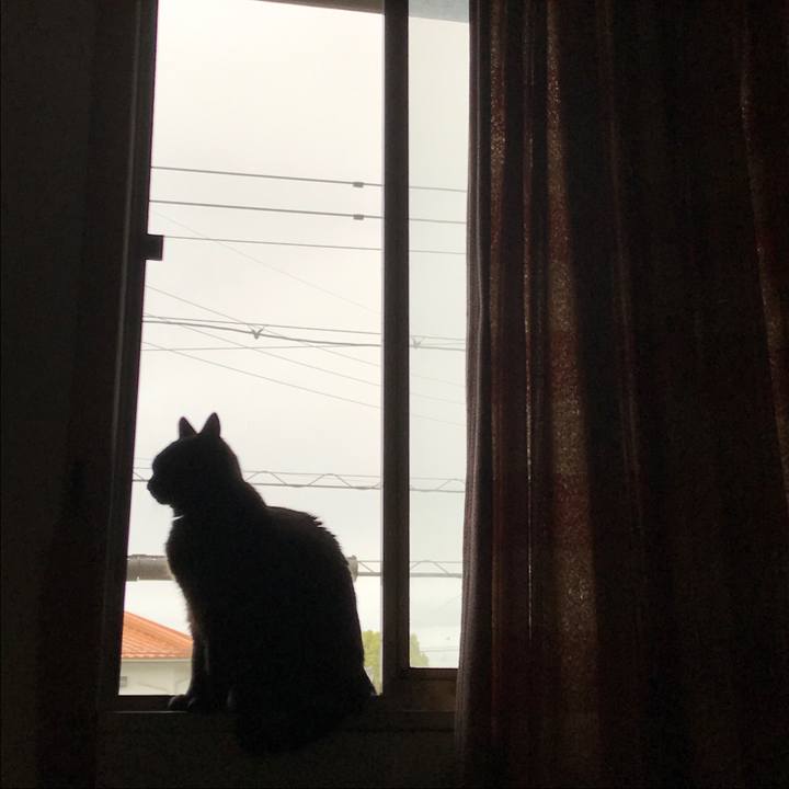 91bdf155 74fe 480a b1d0 f61f85d5457b