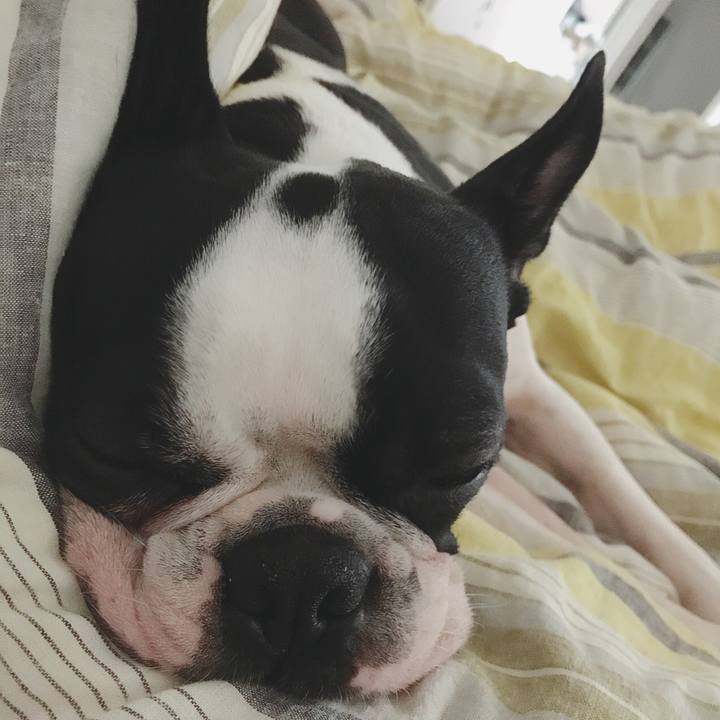 91beb81f 6438 43c7 9e04 10dac216c84f