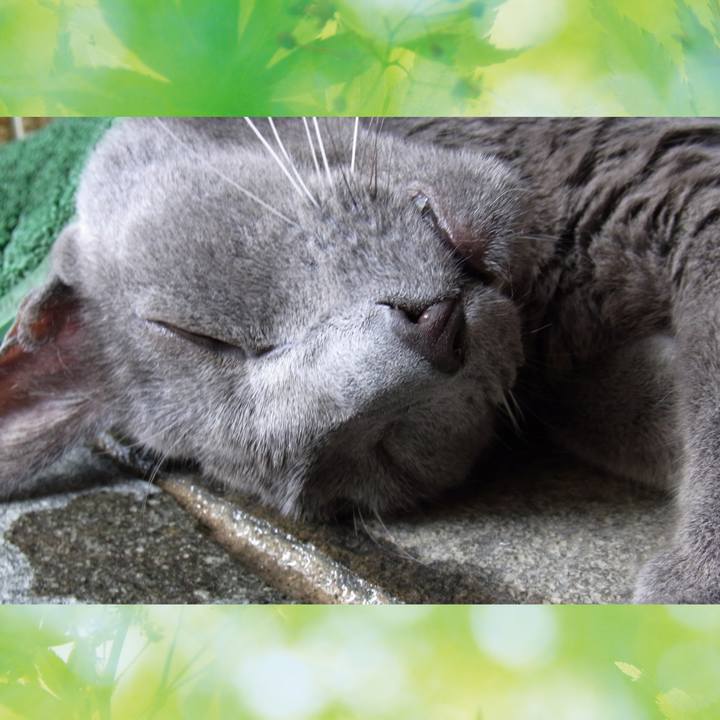 91bf3fca d9d5 4e82 91fd b416f8d99059