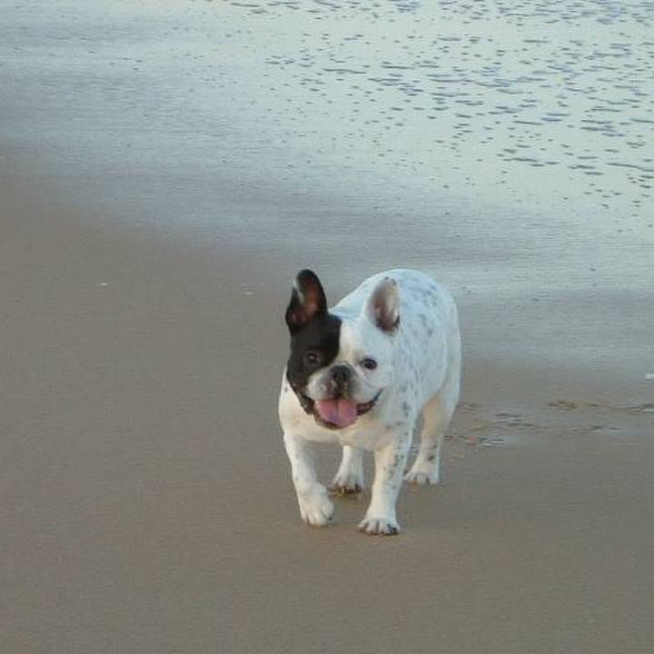 91bfa320 7af4 4b81 95e0 db57dfbd4b29