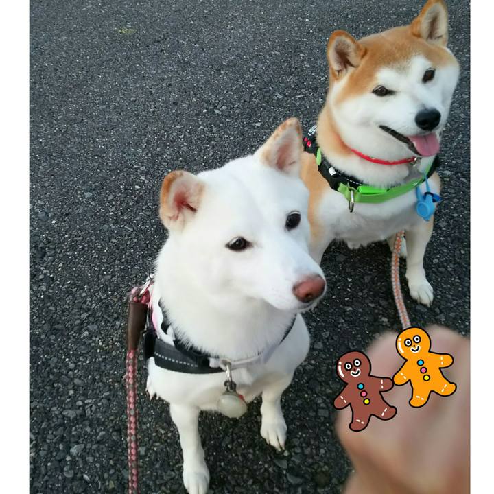 91bfb708 d9f5 4582 87c6 4077d50aa318