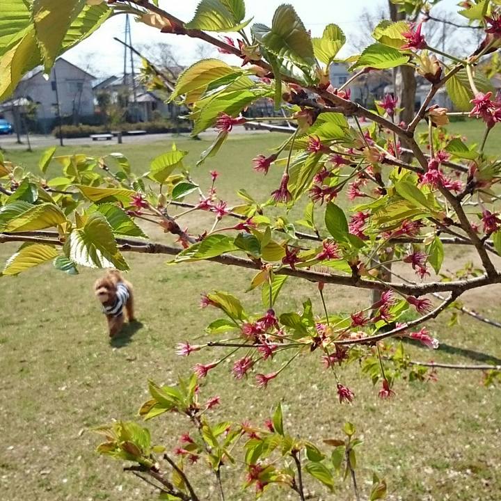 91bfe4dc 2f20 4f54 b082 75a1bd1303e1