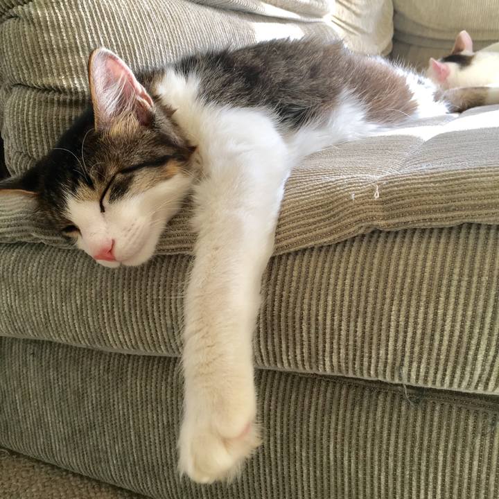 91c0380f 1421 484a 92c2 6651ff7cb701