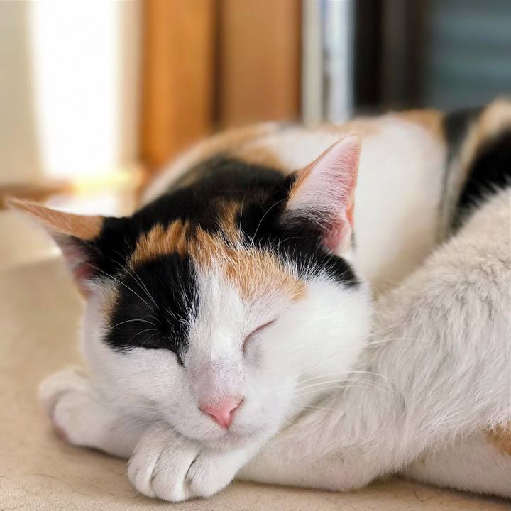 91c2db8f f78a 4cf2 b01a 17172f15f486