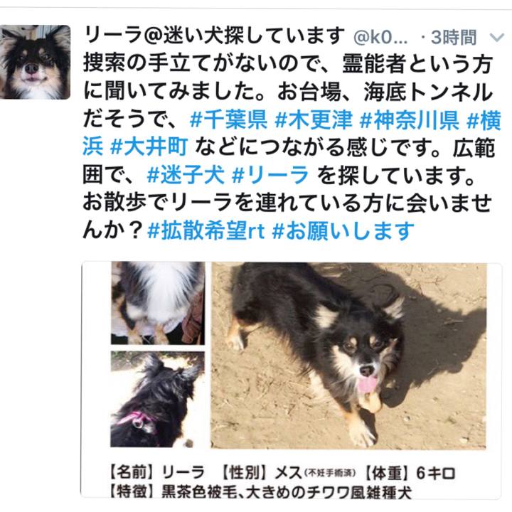 91c3583b 23be 4876 bb1d b58e4da496d6