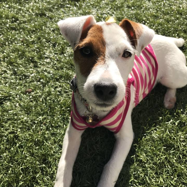 91c39405 c681 4939 b665 cdfd8824480a