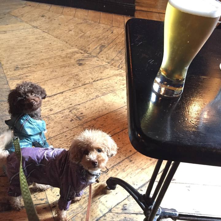 91c4bdde 16cd 458b b73c 67ba699b46e2