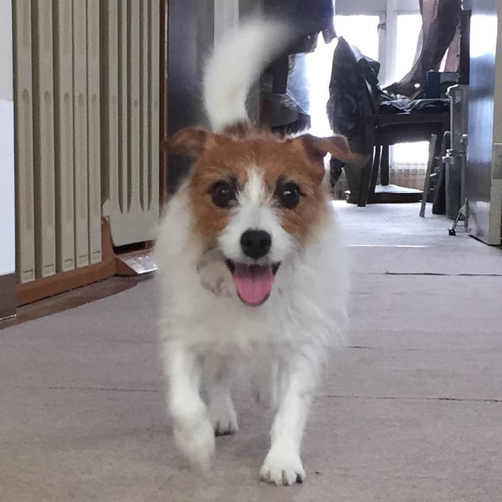 91c4dc59 6c40 47d6 b1b7 848b839cf040