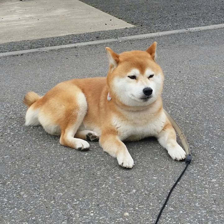 91c5068b e5fd 4ac8 8f3b f7afda04be23