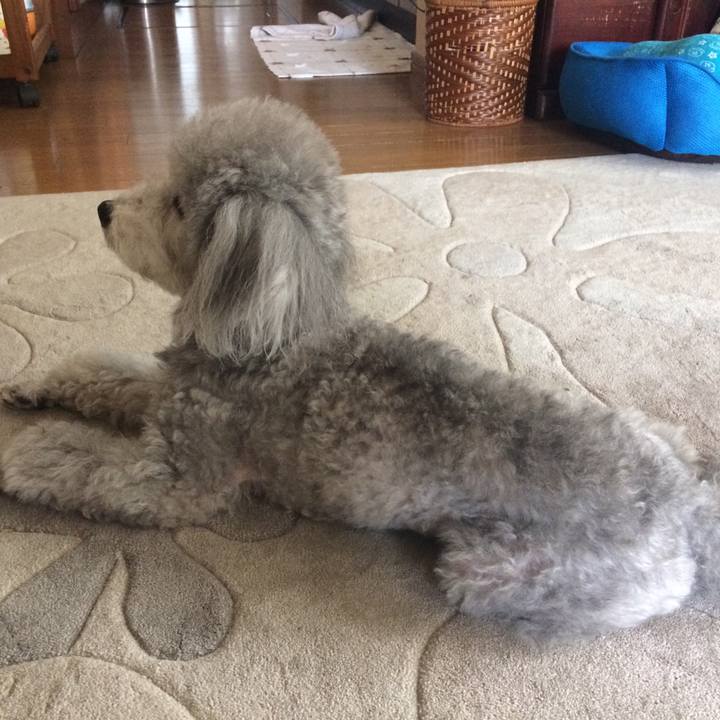 91c5c5cb 8727 43d3 805a f28243f38810