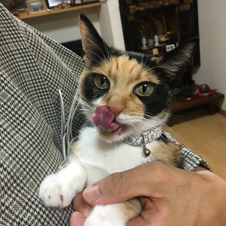 91c67362 2d67 4606 b0dd b64999e54ee7