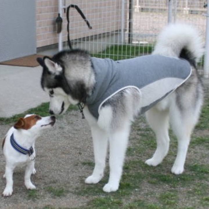 91c7a1ff ee6d 4573 be2b e2c2ad142170