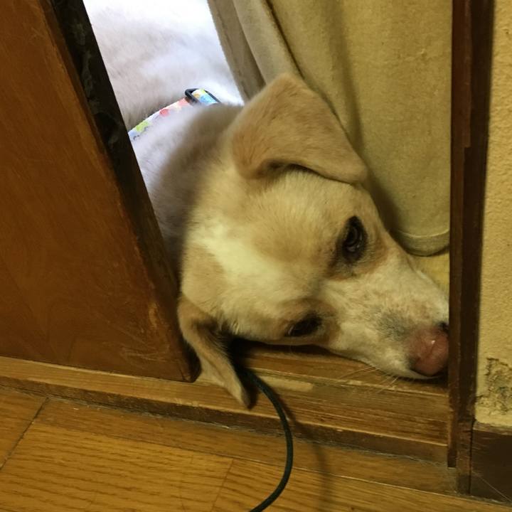 91c7f6c3 1cbc 4681 a2ef ac6e688f3a3d